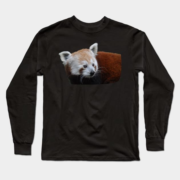 Cute Red bear- panda Long Sleeve T-Shirt by zaiynabhw